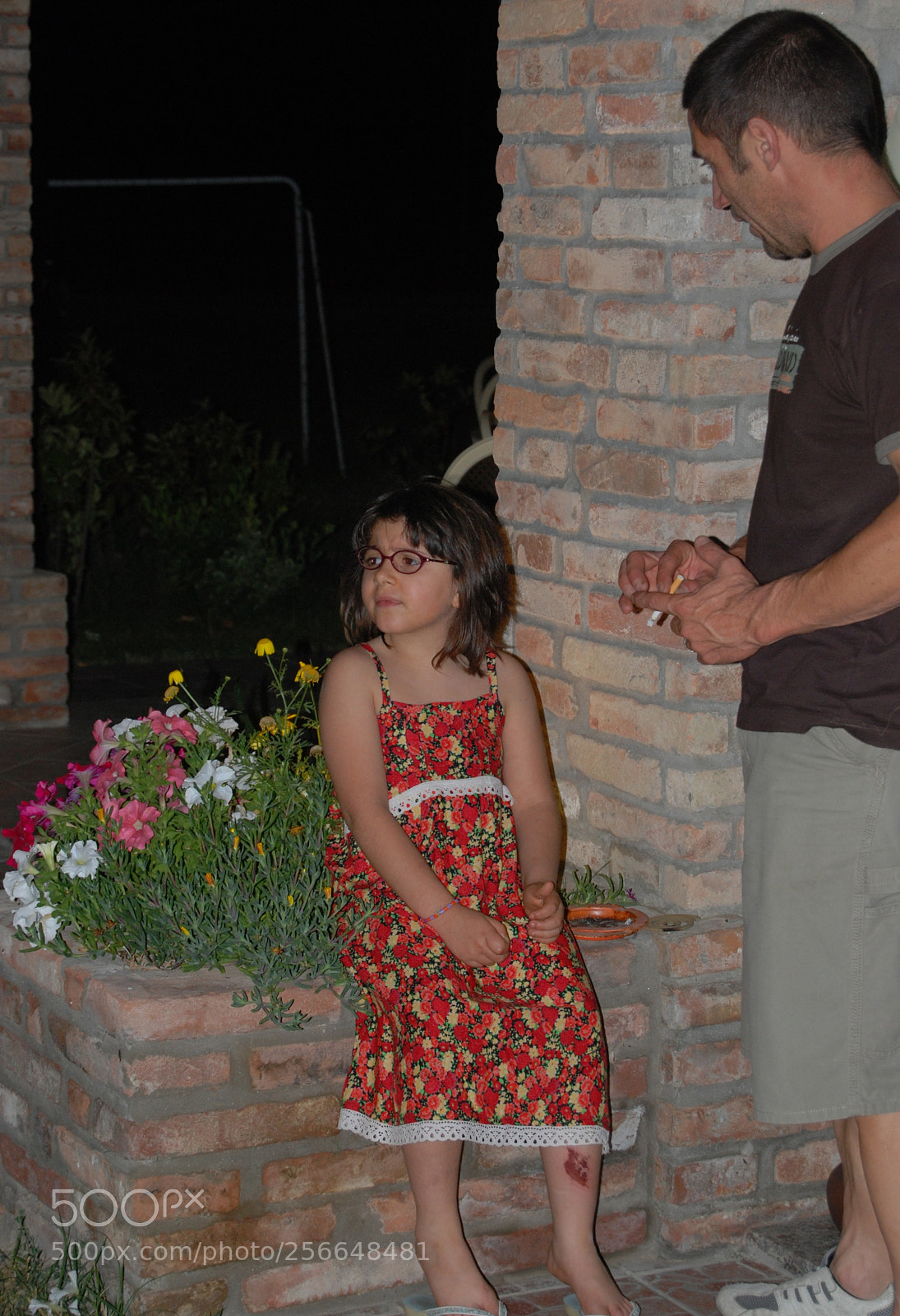 Nikon D60 sample photo. Version photography