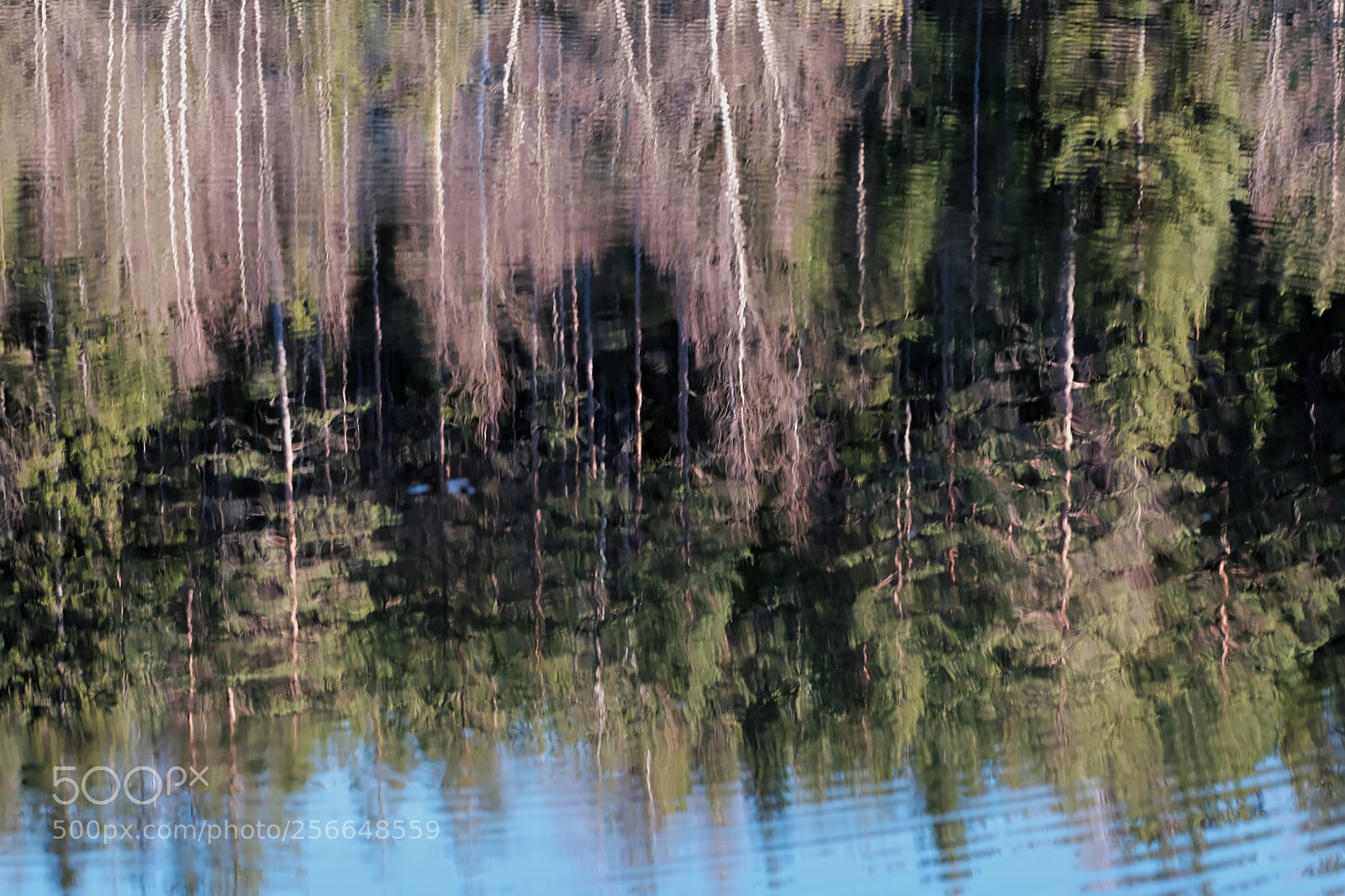 Fujifilm X-T2 sample photo. Pond photography