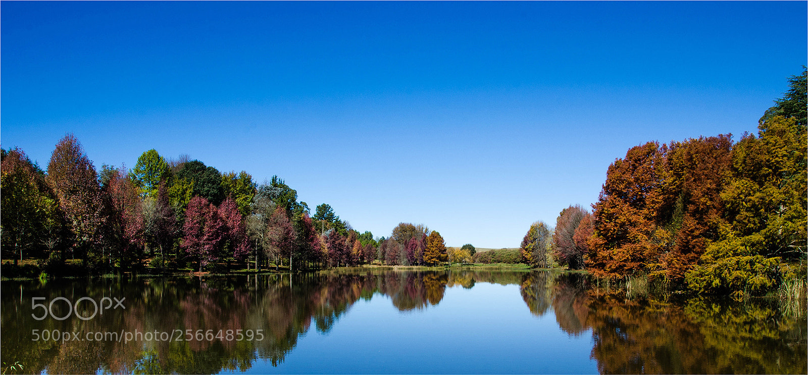 Nikon D7000 sample photo. Lake kenmo photography