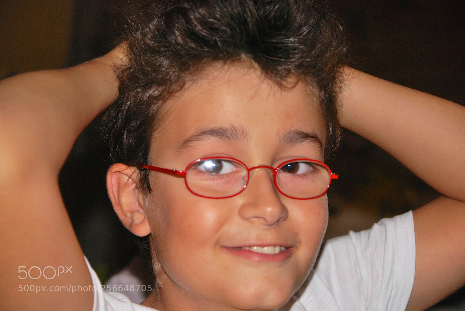 Nikon D60 sample photo. Version photography