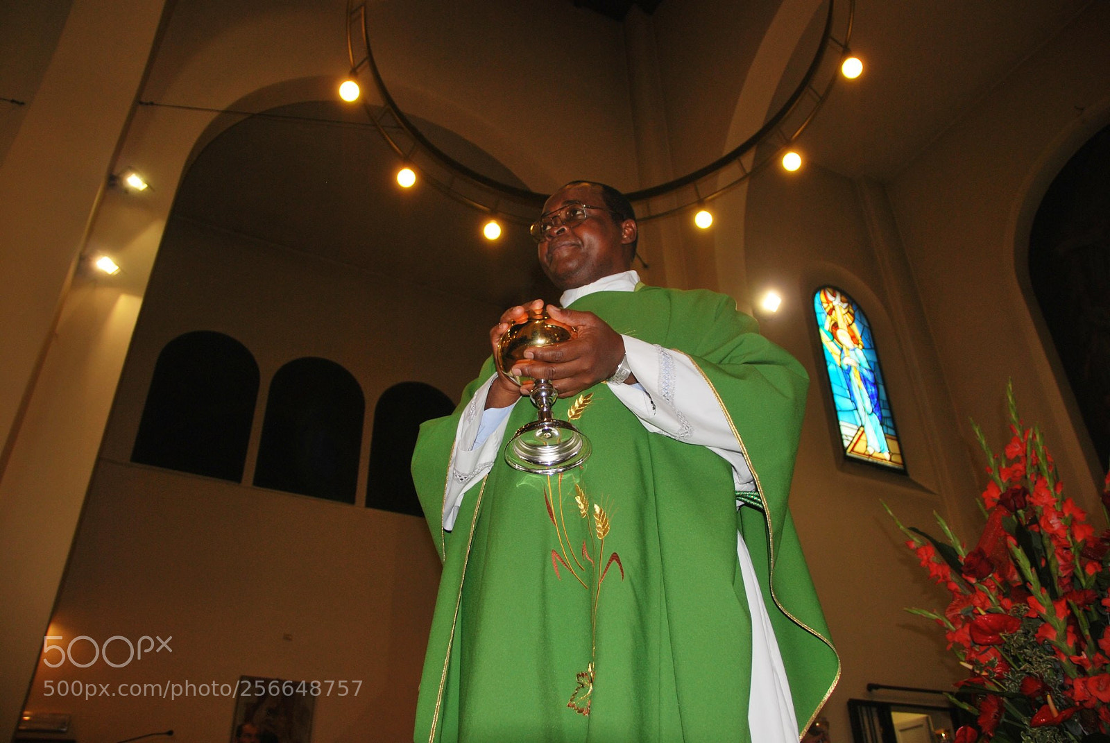 Nikon D60 sample photo. Version photography