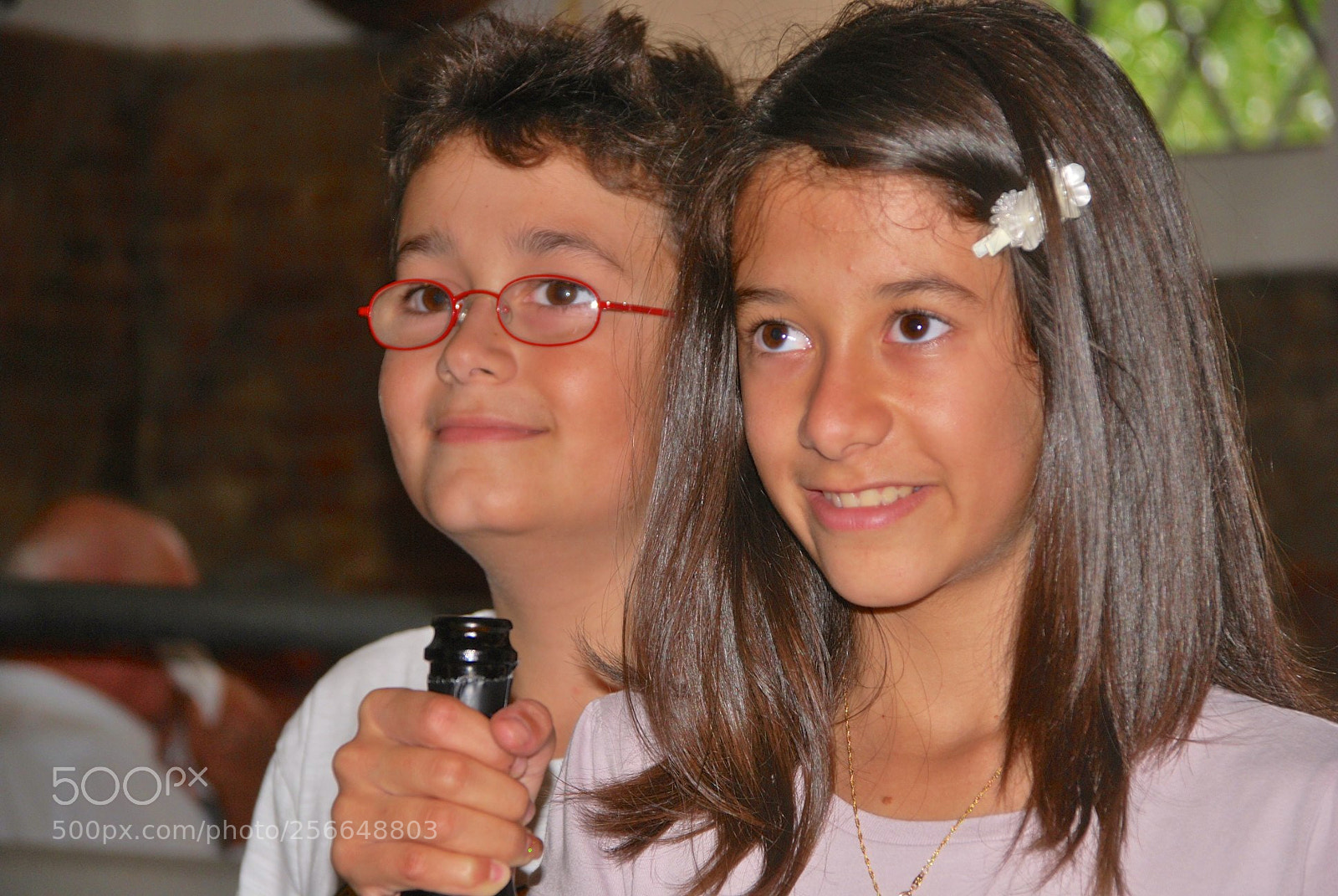 Nikon D60 sample photo. Version photography