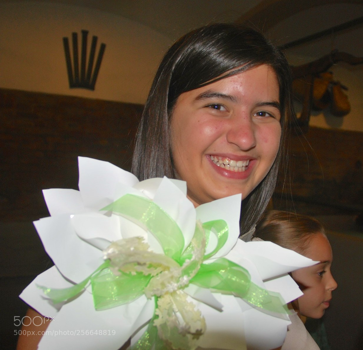 Nikon D60 sample photo. Version photography