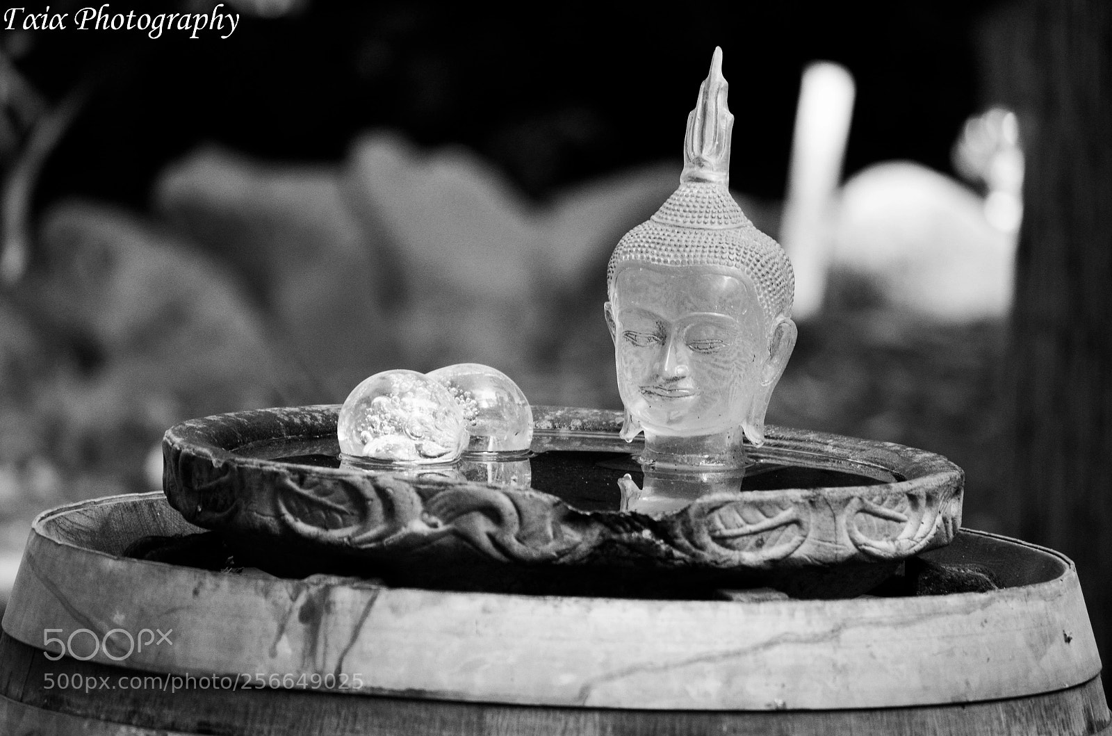 Nikon D5100 sample photo. Untitled photography