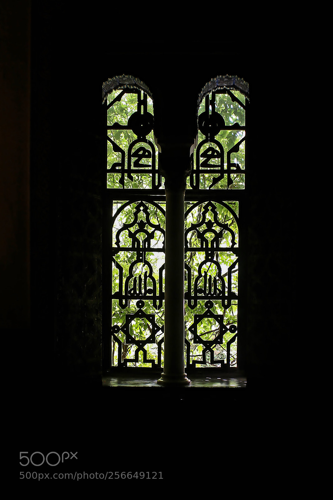 Canon EOS 20D sample photo. Img photography