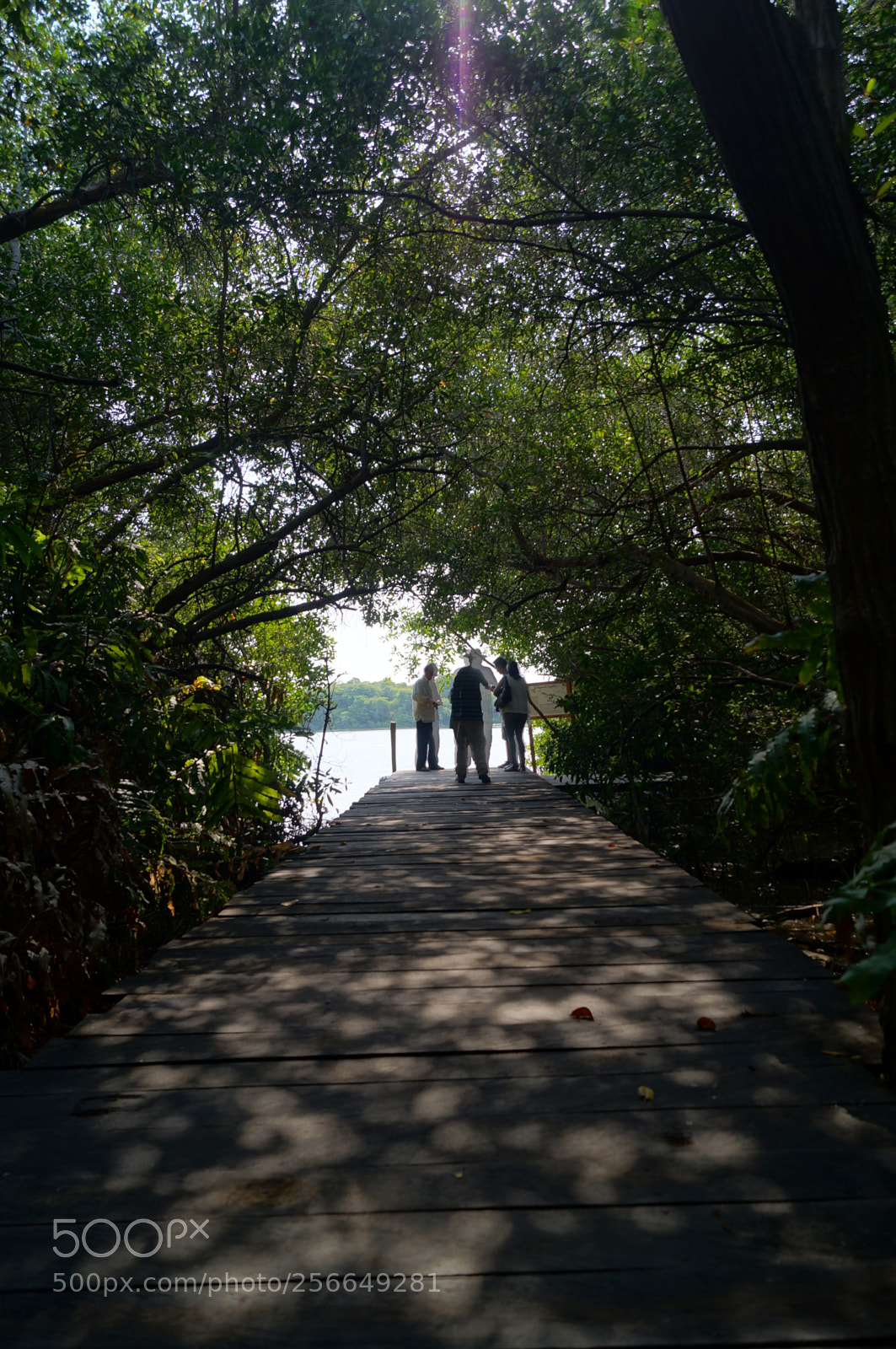 Sony SLT-A37 sample photo. My family photography