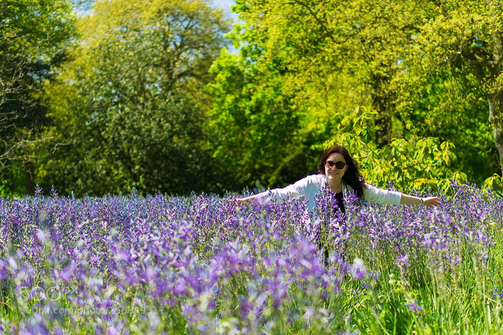 Sony a6000 sample photo. Woman in meadow of photography