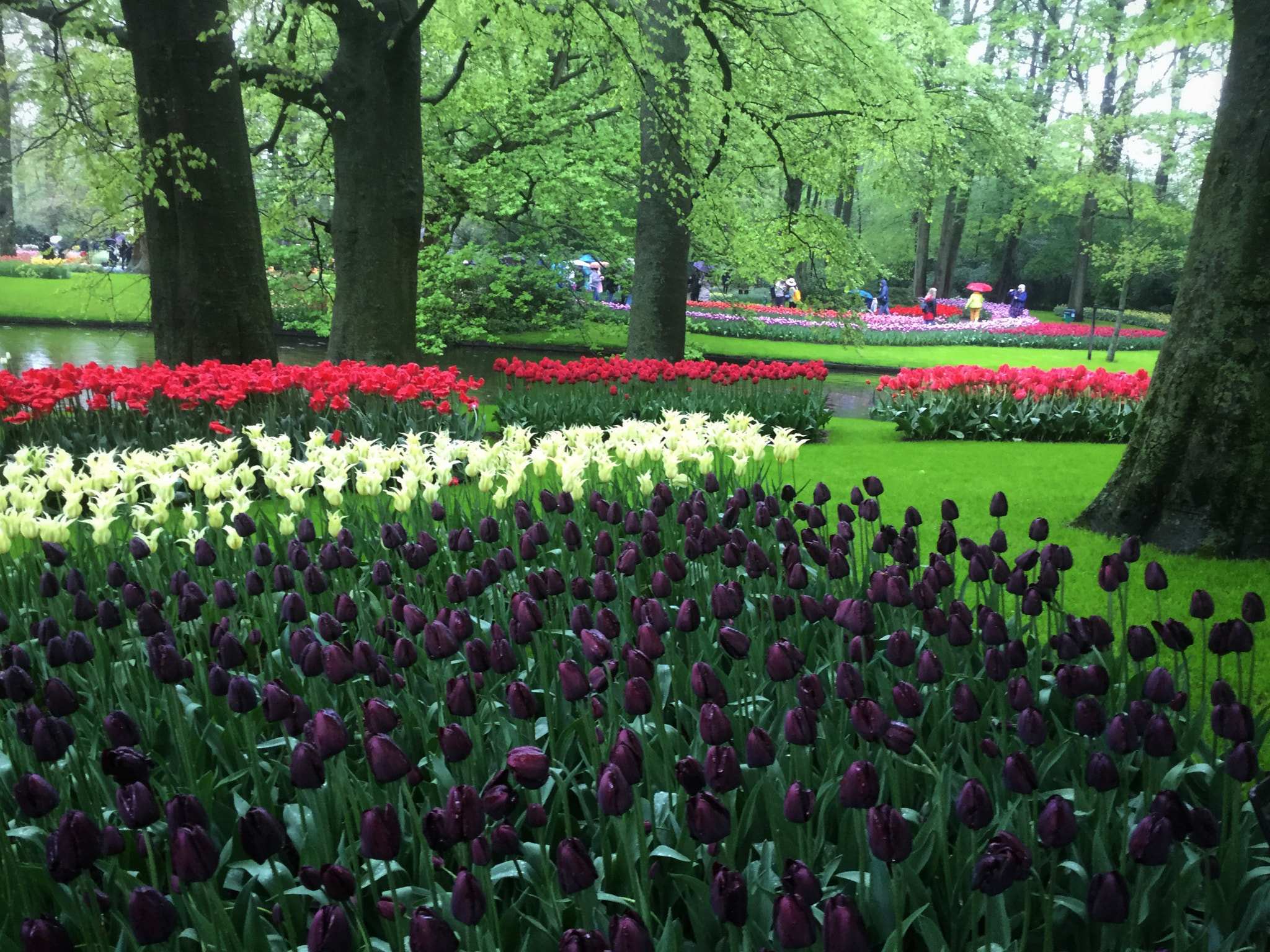 Apple iPad Air 2 sample photo