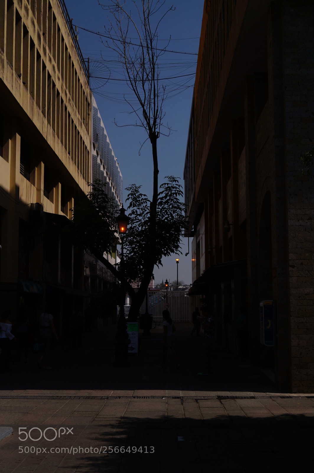 Sony SLT-A37 sample photo. Alley photography