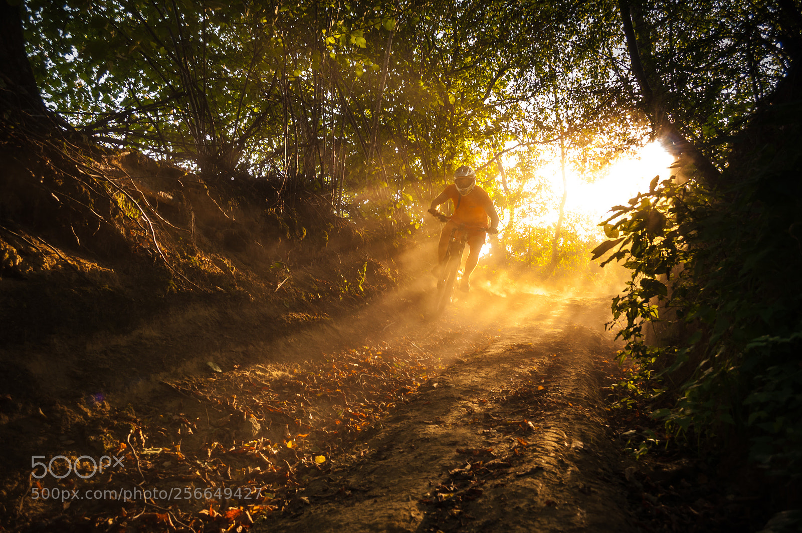 Nikon D5000 sample photo. Downhill mountain biker at photography
