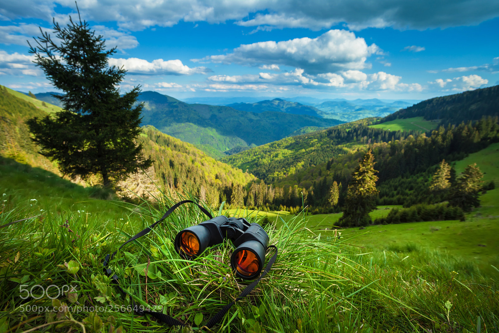 Canon EOS 5D Mark II sample photo. Binocular on the grass photography
