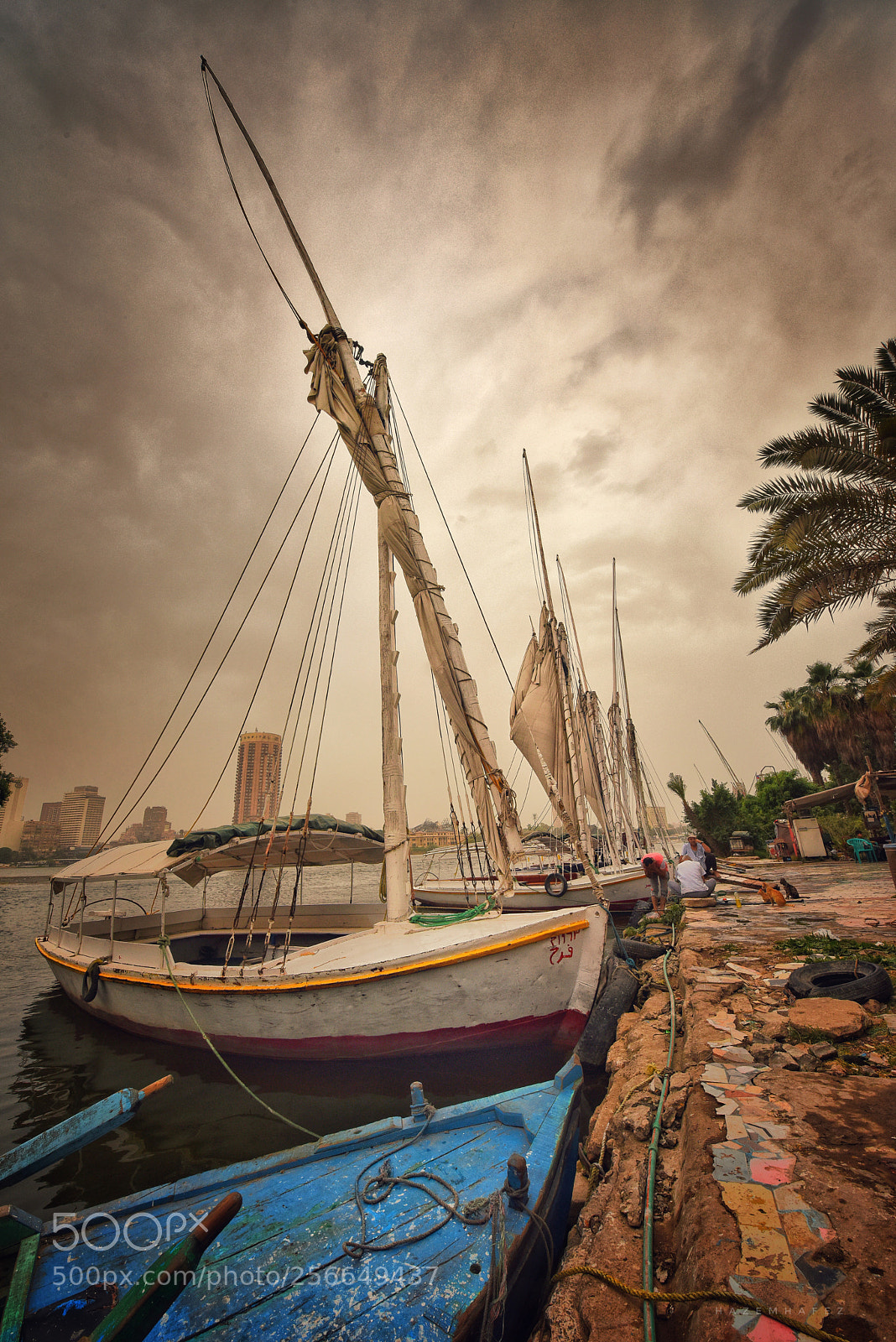 Nikon D810 sample photo. By the nile .. photography