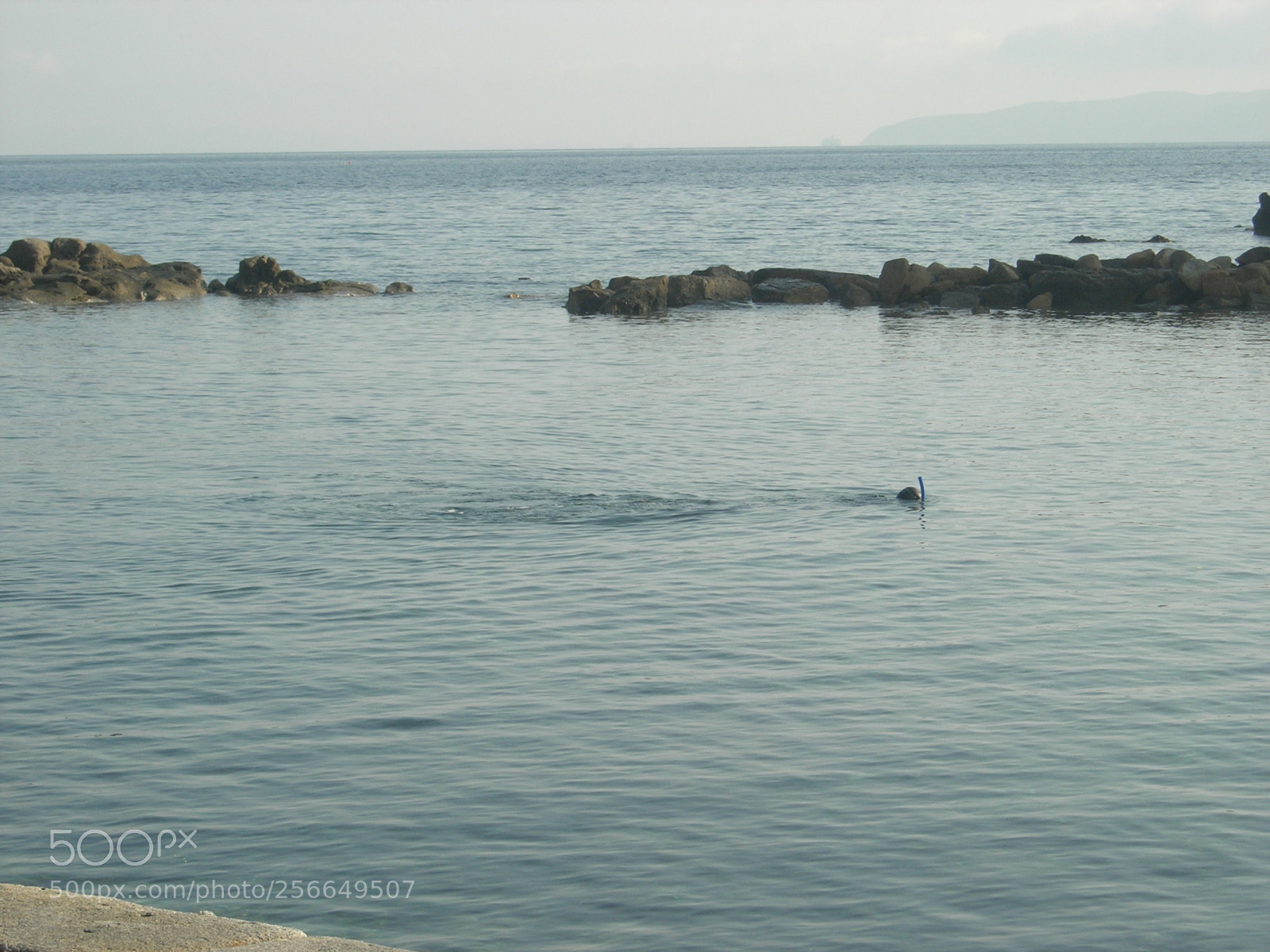 Nikon E5900 sample photo. Enfola () photography