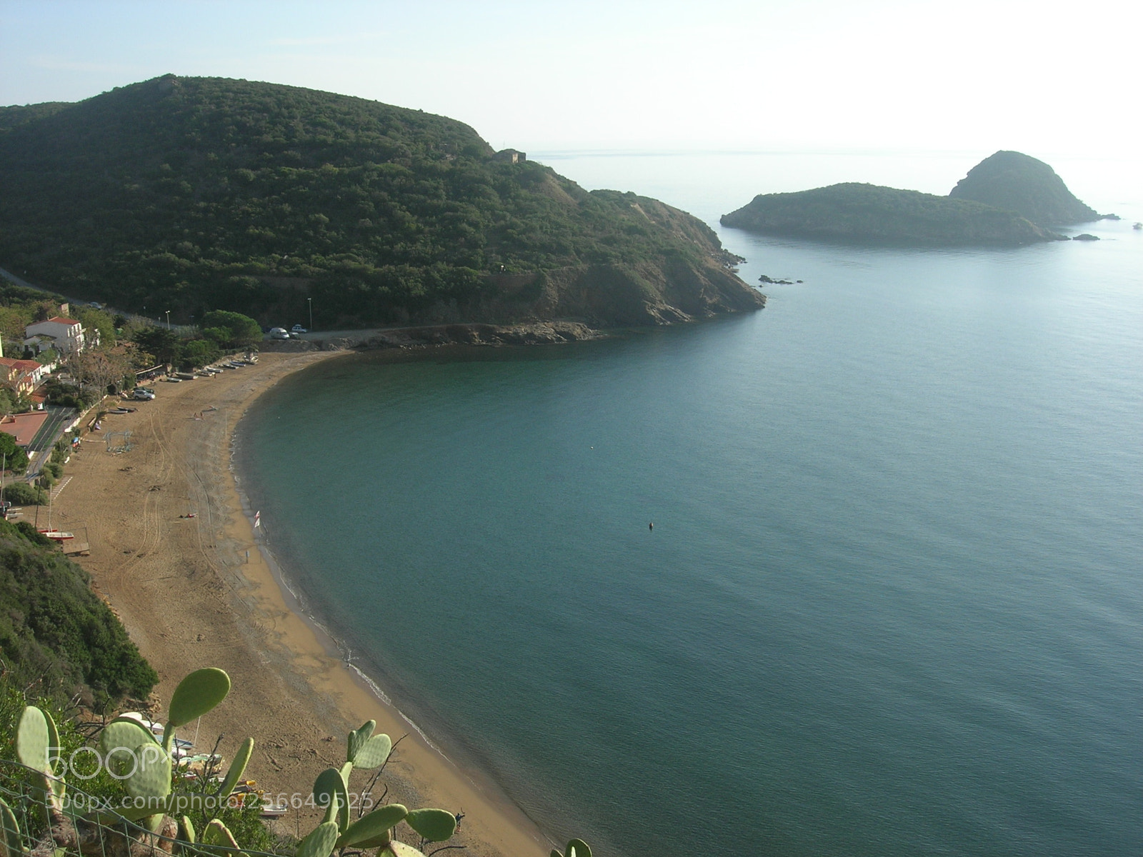 Nikon E5900 sample photo. Innamorata () photography
