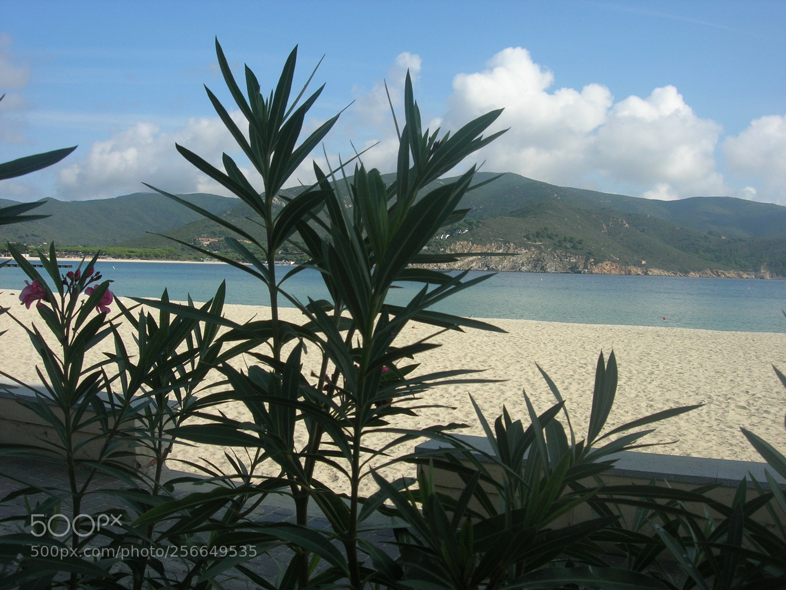 Nikon E5900 sample photo. Marina di campo () photography