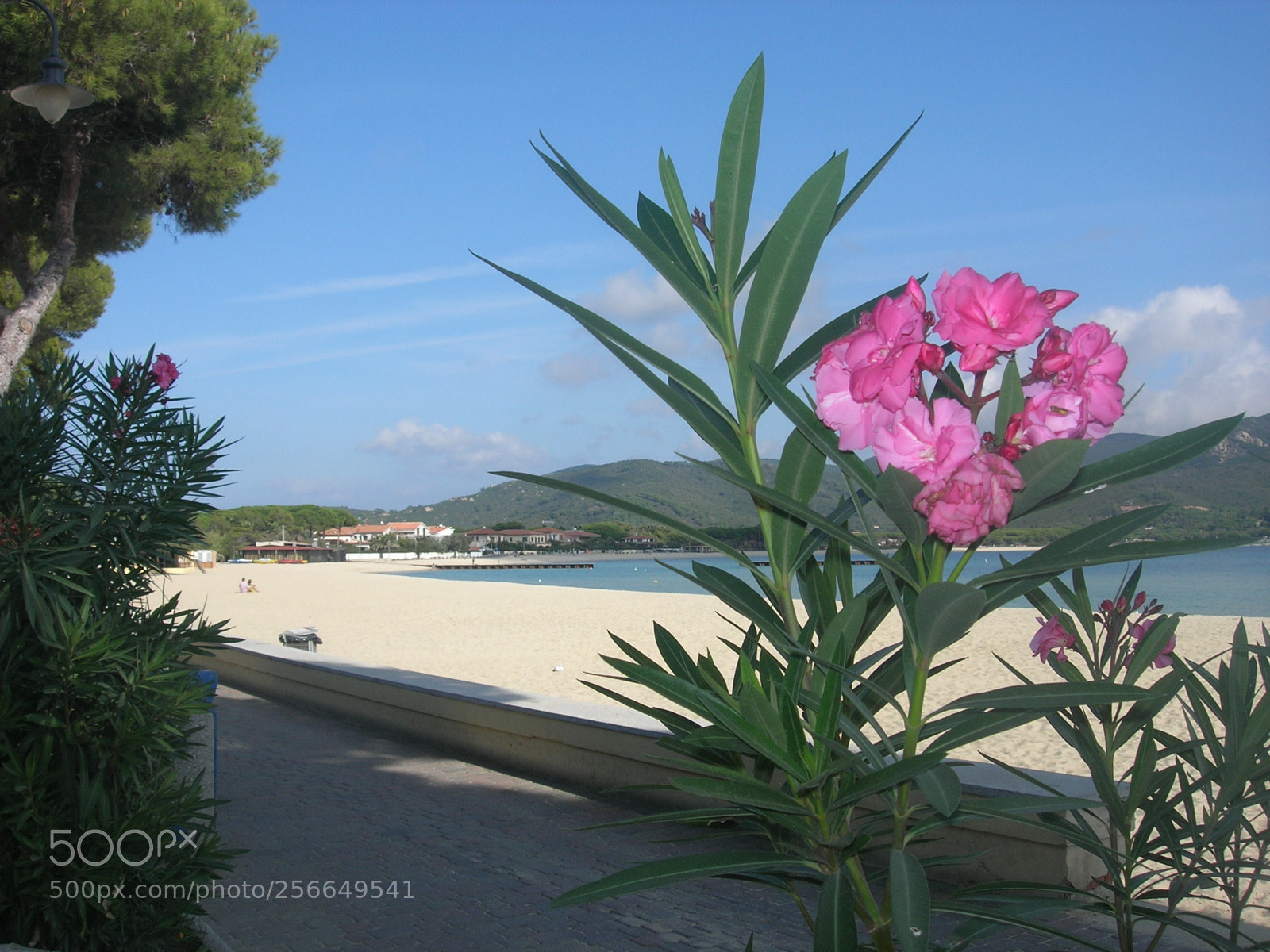 Nikon E5900 sample photo. Marina di campo () photography