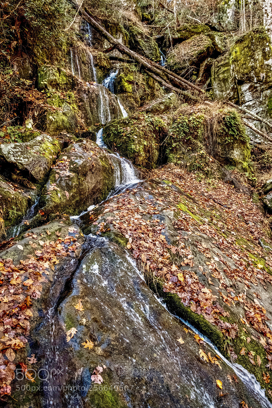 Fujifilm X-T2 sample photo. Smokey mountain stream photography