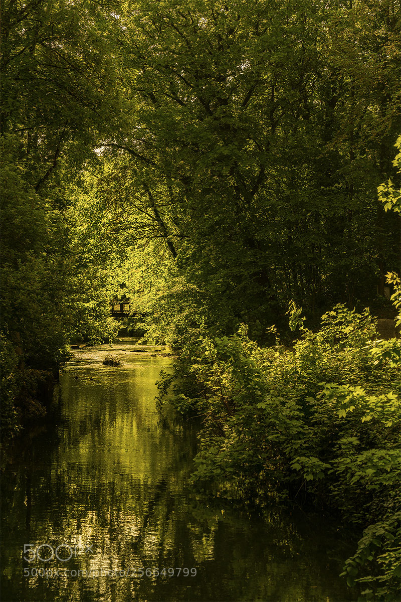 Sony a7R II sample photo. Reutlingen 050518-026 photography