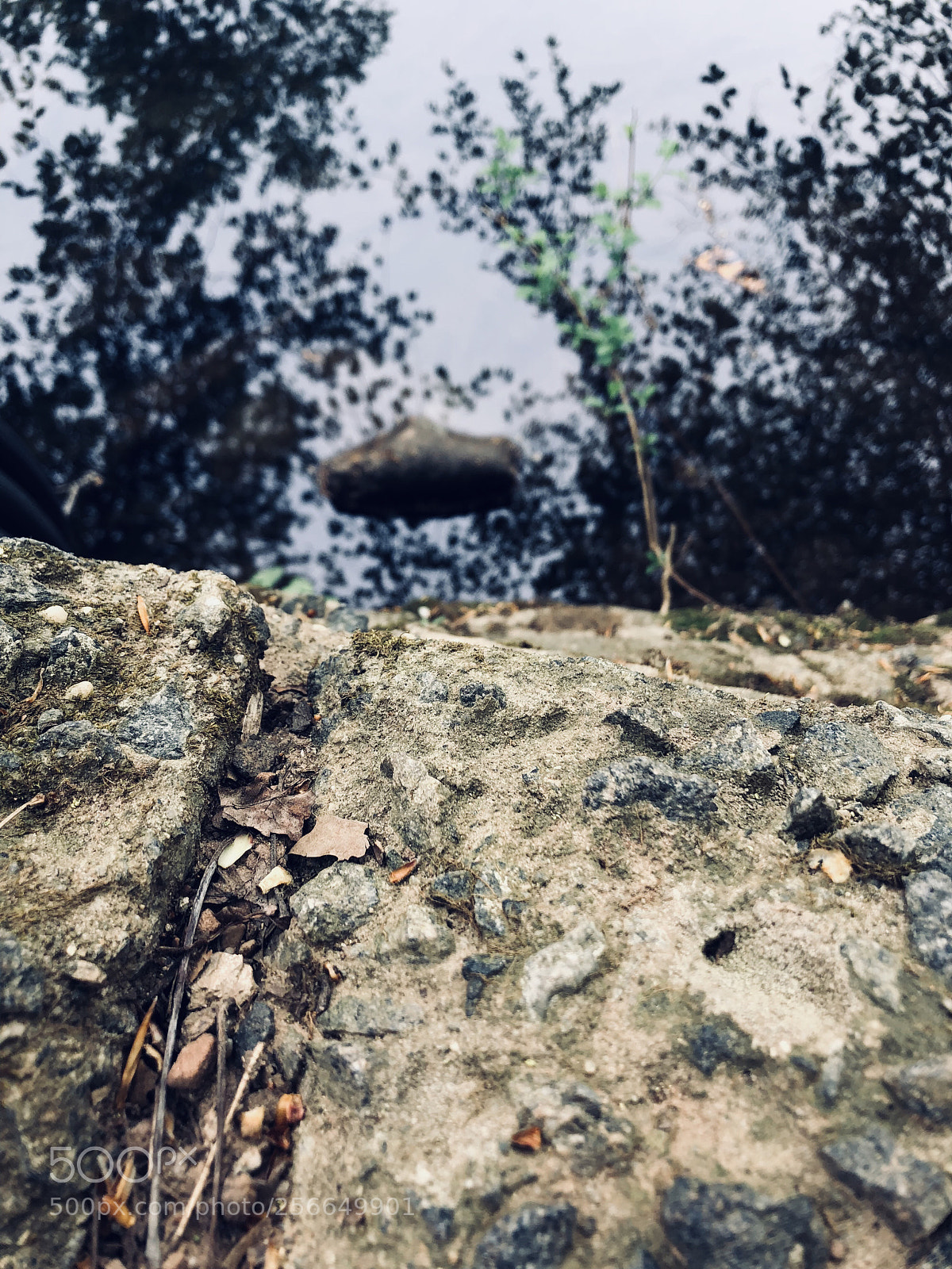 Apple iPhone 8 sample photo. Untitled photography