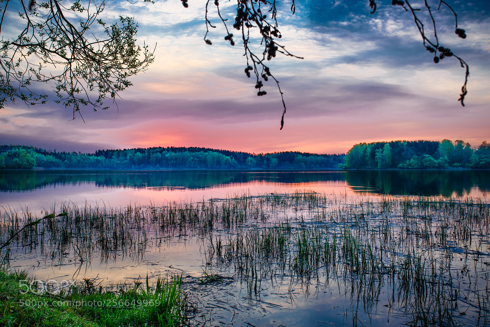 Nikon D610 sample photo. Untitled photography