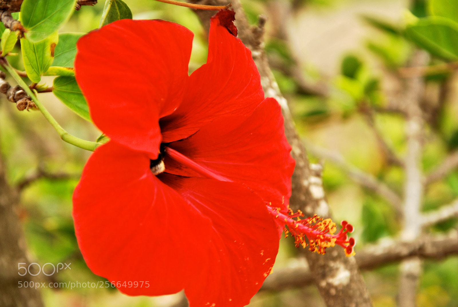 Nikon D60 sample photo. Favignana photography