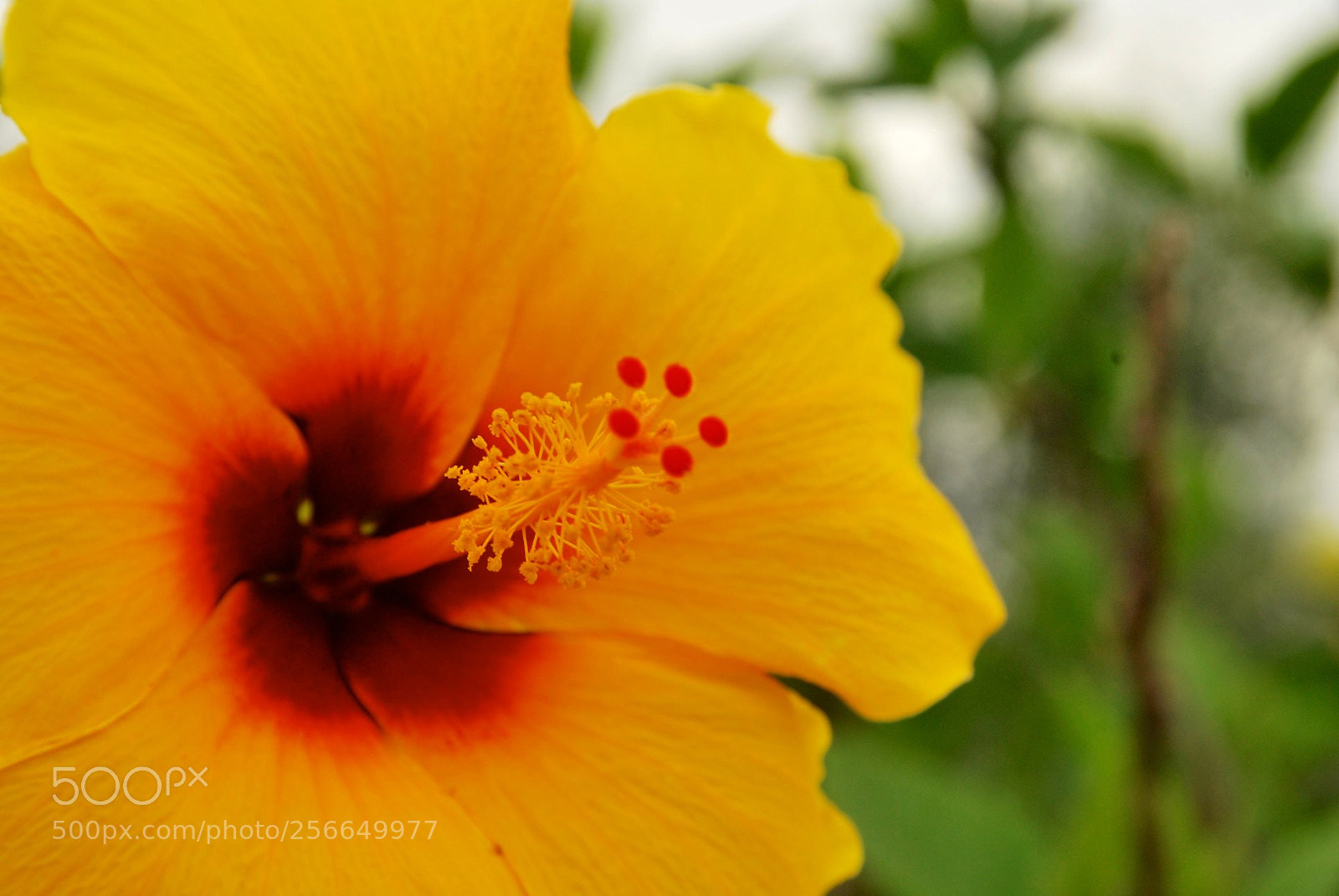 Nikon D60 sample photo. Favignana photography