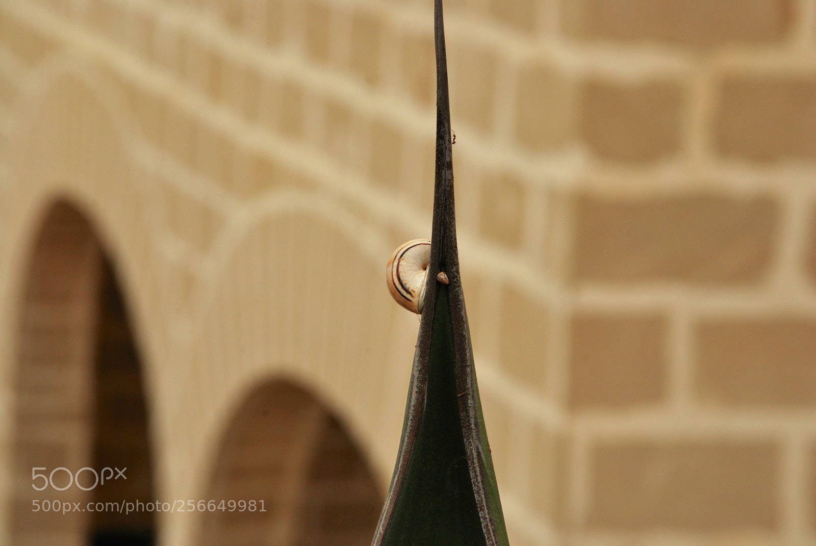 Nikon D60 sample photo. Favignana photography