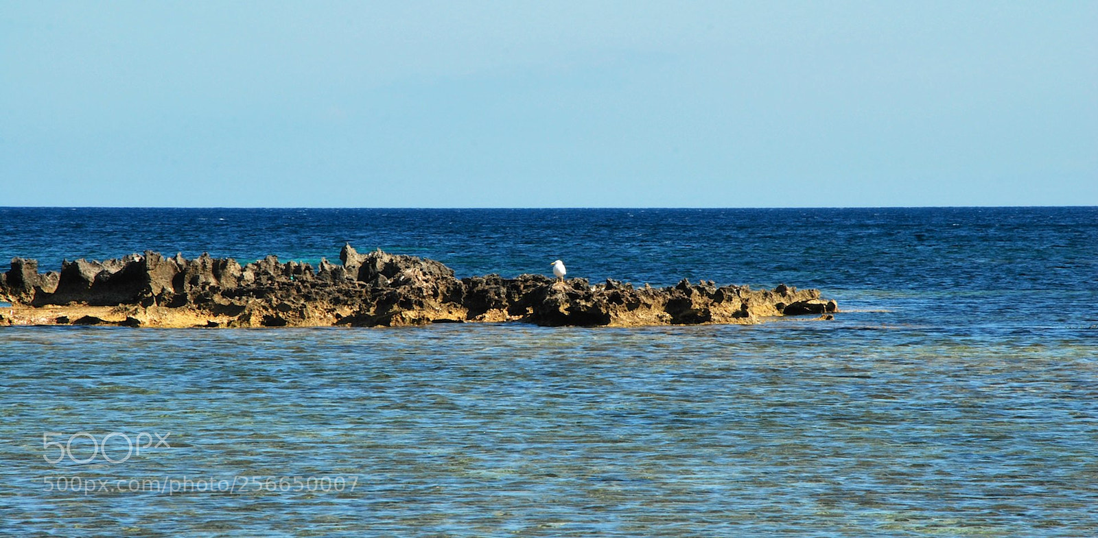 Nikon D60 sample photo. Favignana photography