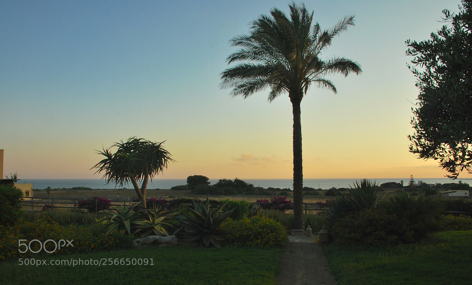 Nikon D60 sample photo. Favignana photography