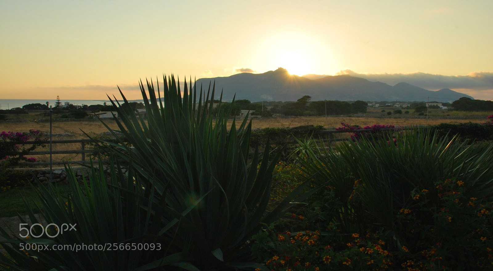 Nikon D60 sample photo. Favignana photography