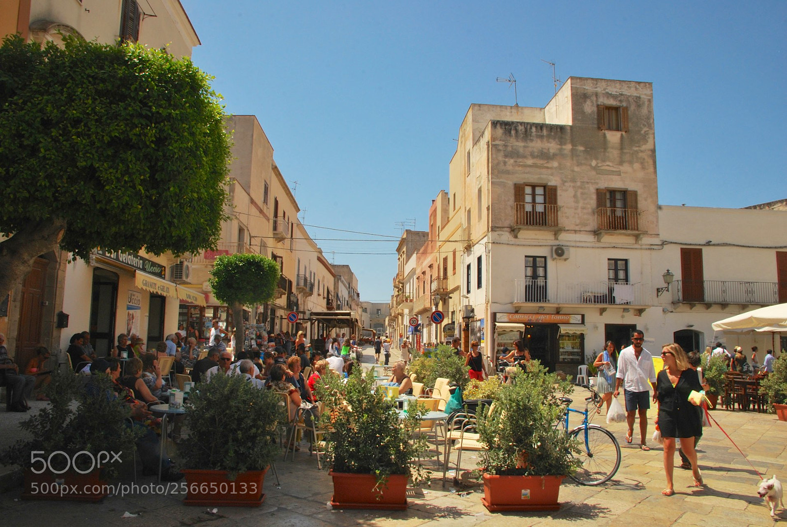 Nikon D60 sample photo. Favignana photography