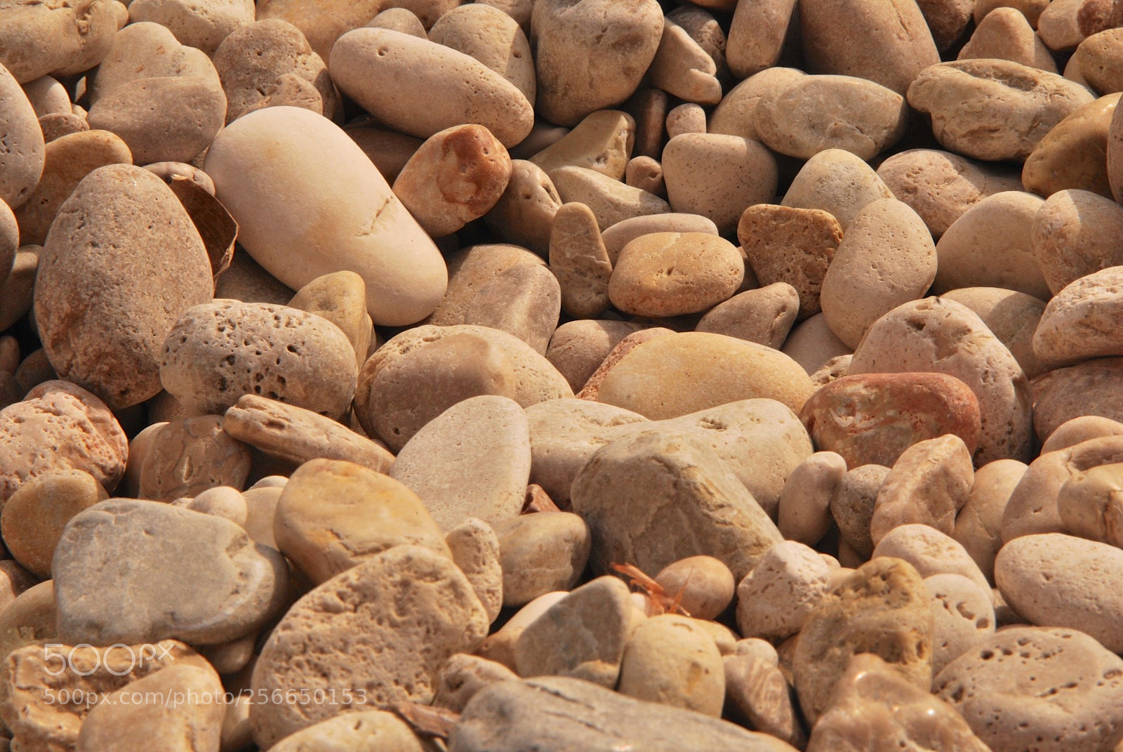 Nikon D60 sample photo. Favignana photography
