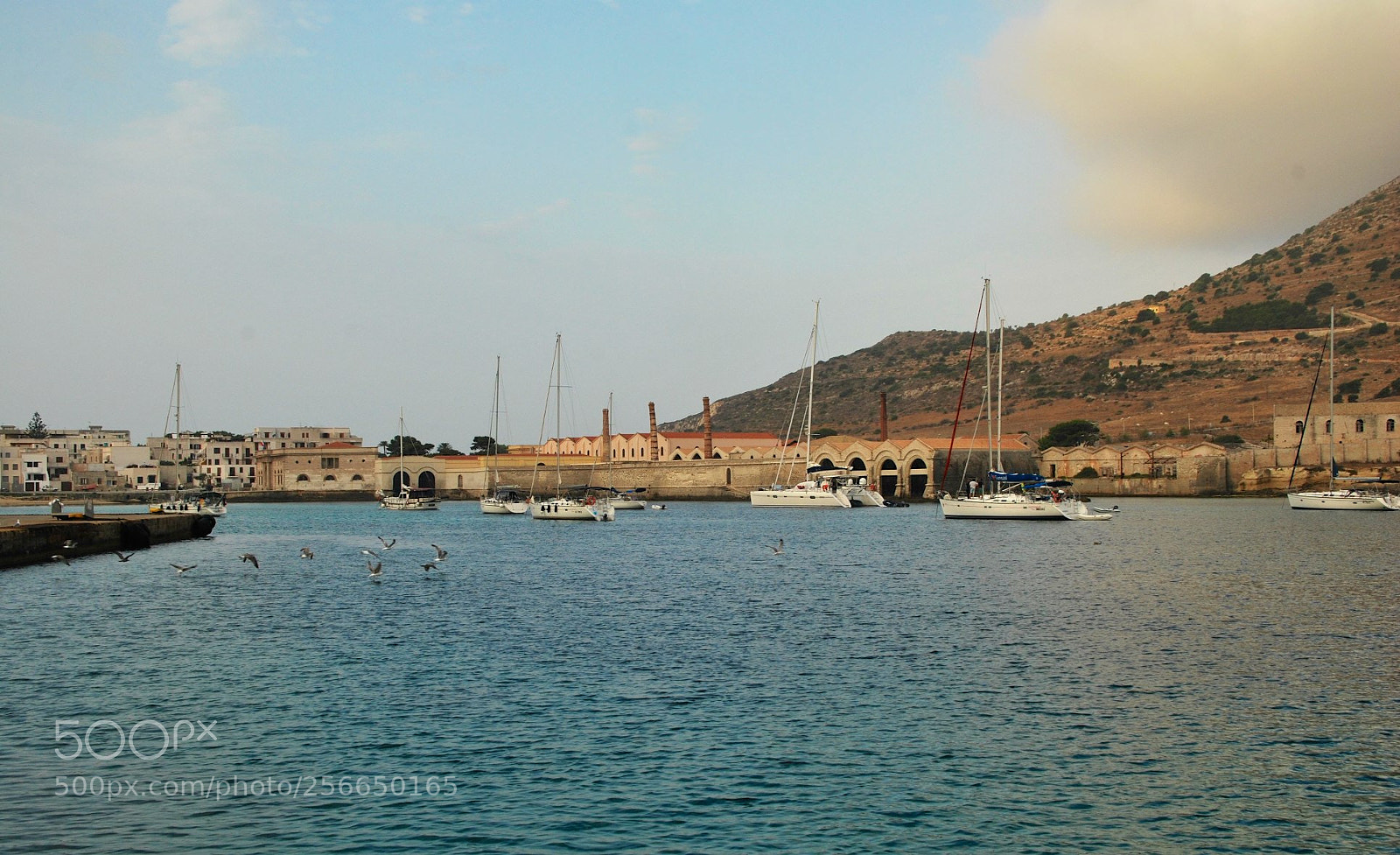 Nikon D60 sample photo. Favignana photography
