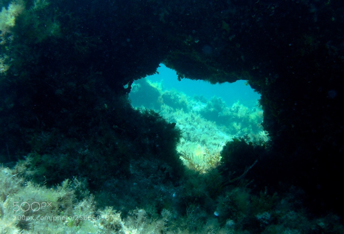 Nikon E5900 sample photo. Favignana photography