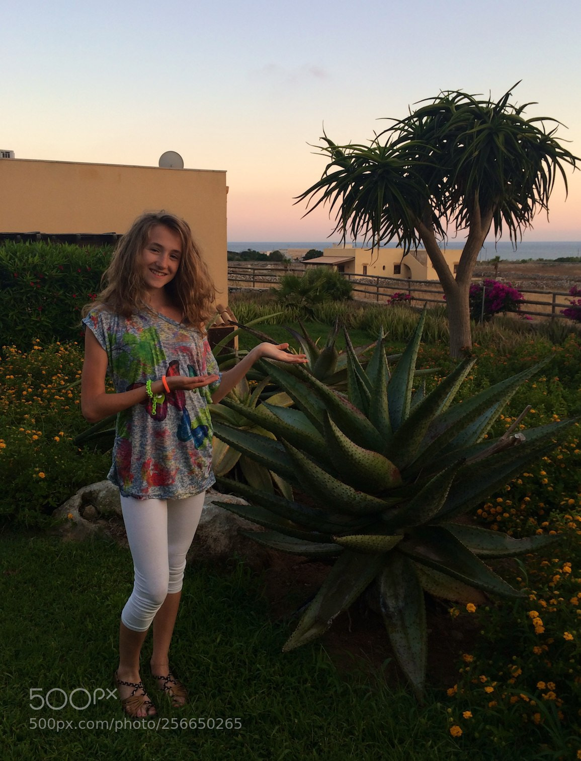 Apple iPhone 5s sample photo. Favignana photography