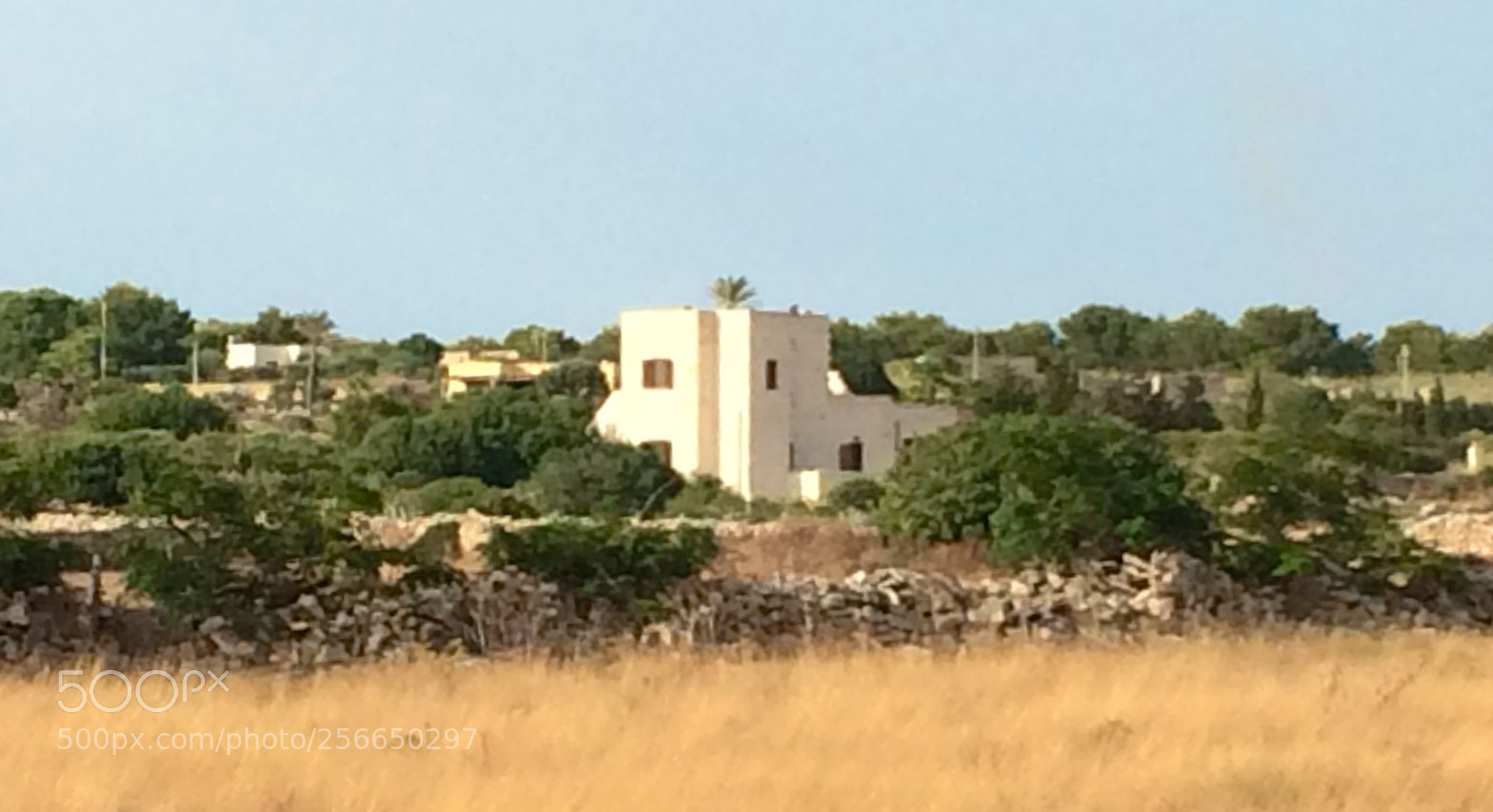 Apple iPhone 5s sample photo. Favignana photography