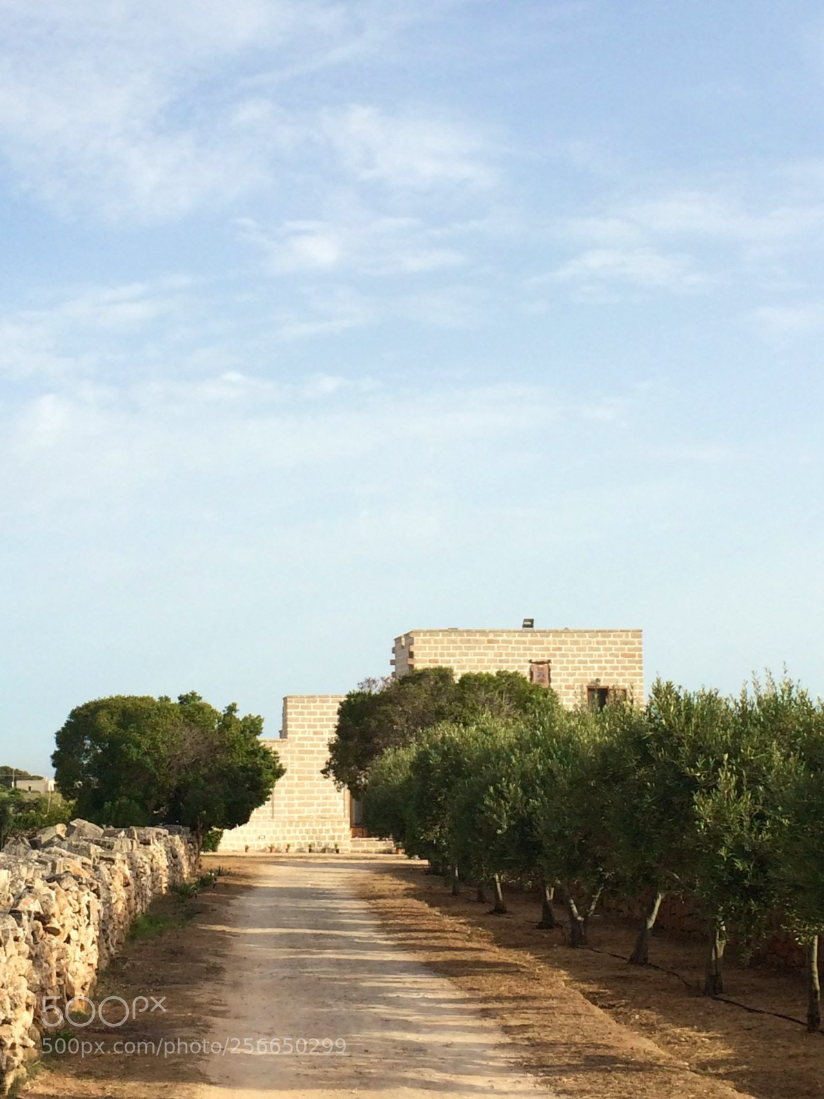 Apple iPhone 5s sample photo. Favignana photography