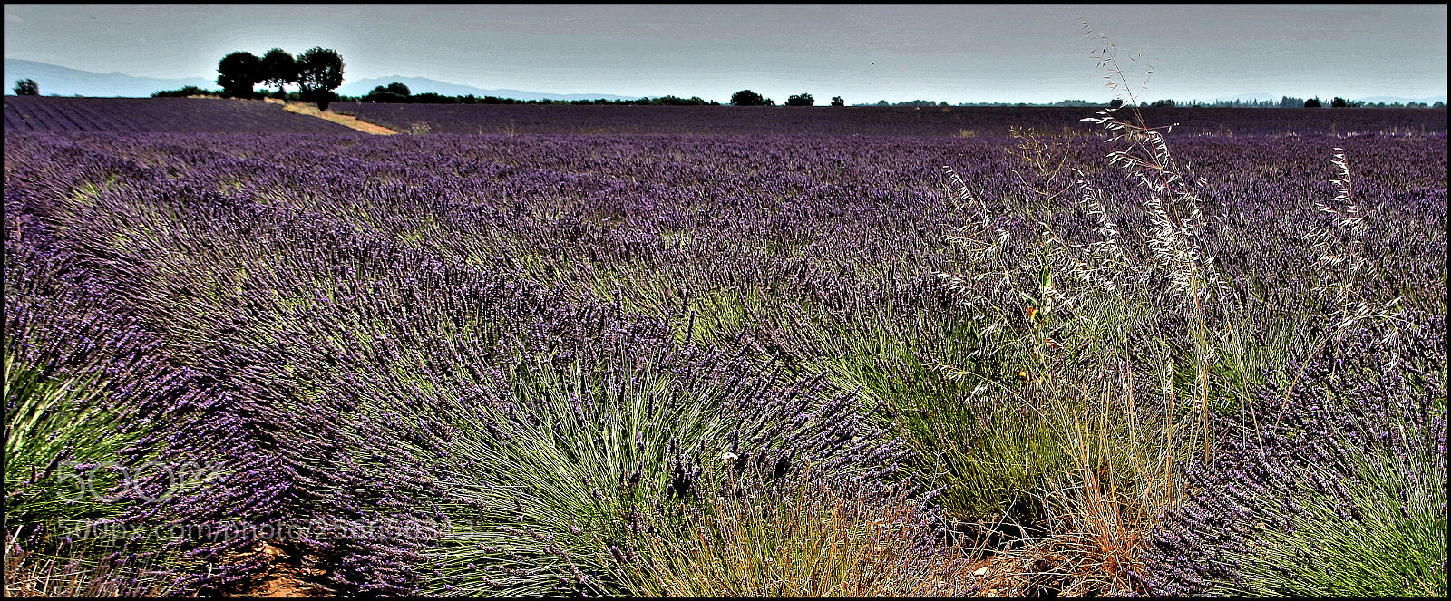 Canon EOS 100D (EOS Rebel SL1 / EOS Kiss X7) sample photo. Colors of provence photography