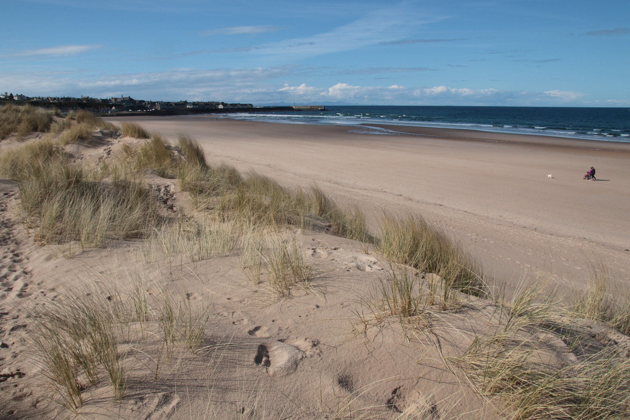 Sigma 18-250mm F3.5-6.3 DC OS HSM sample photo. Beach photography