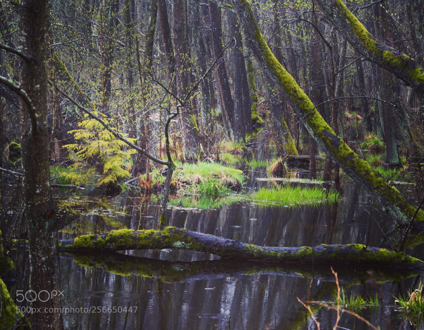 Sony ILCA-77M2 sample photo. Untitled photography