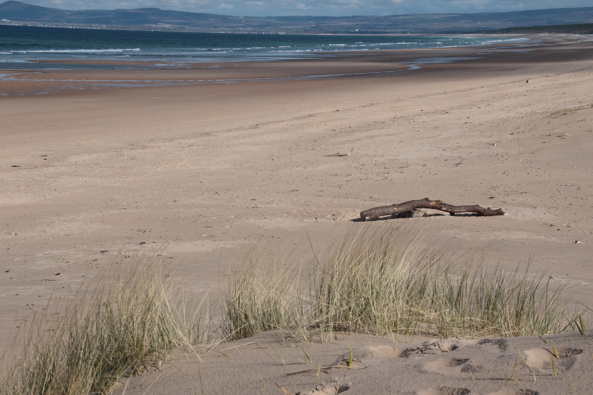 Canon EOS 7D Mark II sample photo. Beach photography