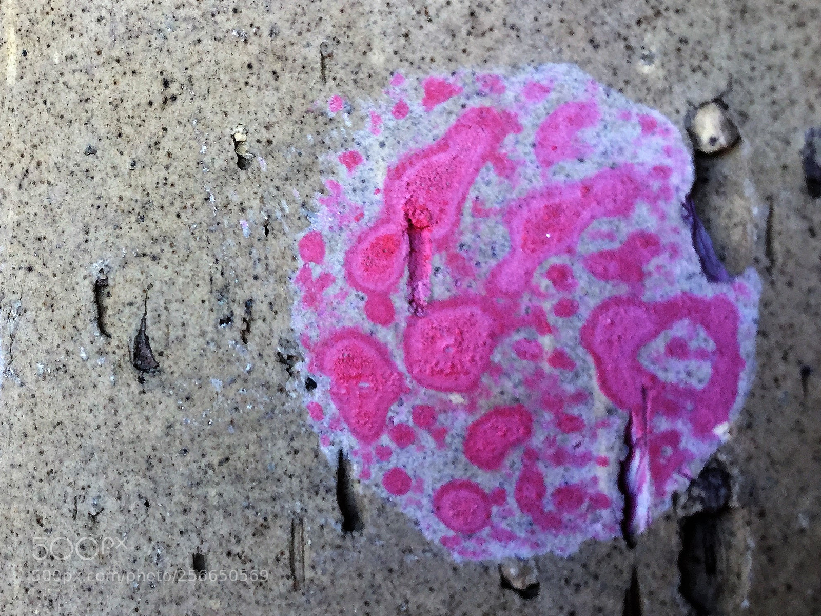 Apple iPod touch sample photo. The blob photography
