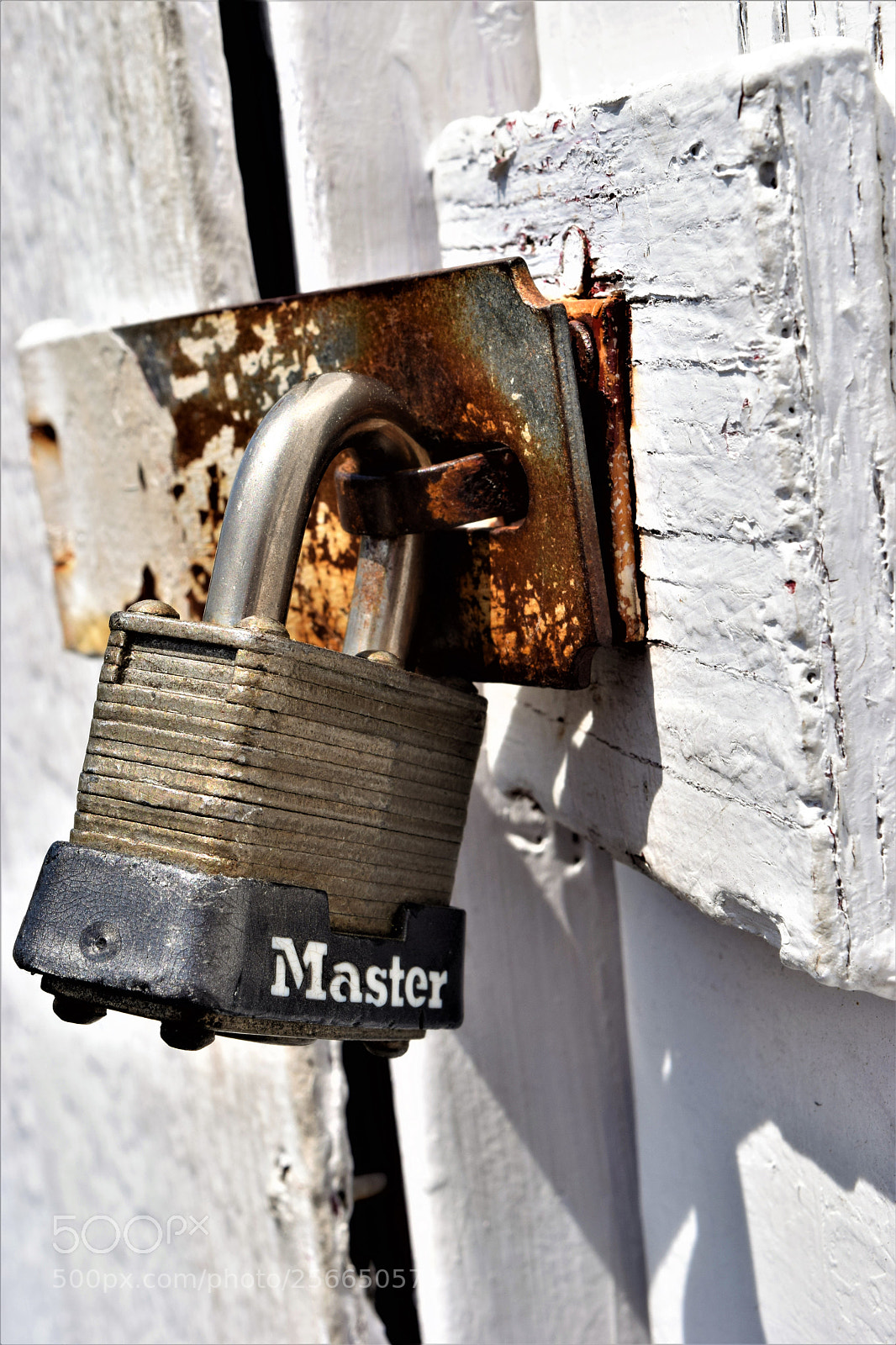 Nikon D3300 sample photo. Under lock & kay photography