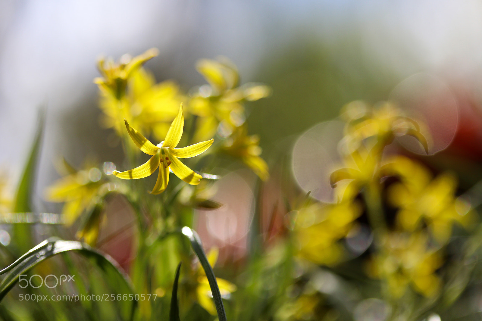 Canon EOS 80D sample photo. . photography