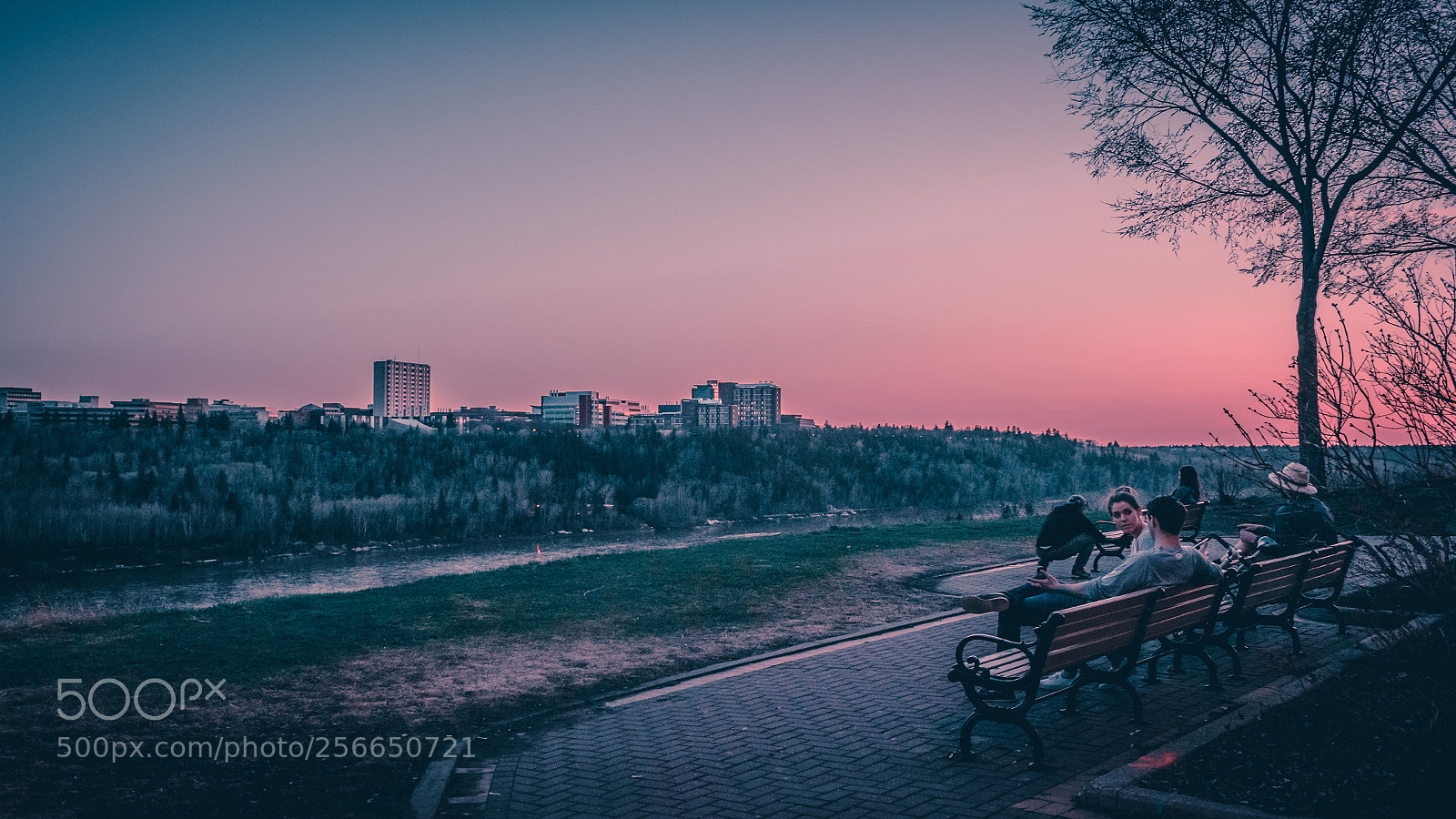 Nikon D5300 sample photo. Edmonton's beautiful river valley photography