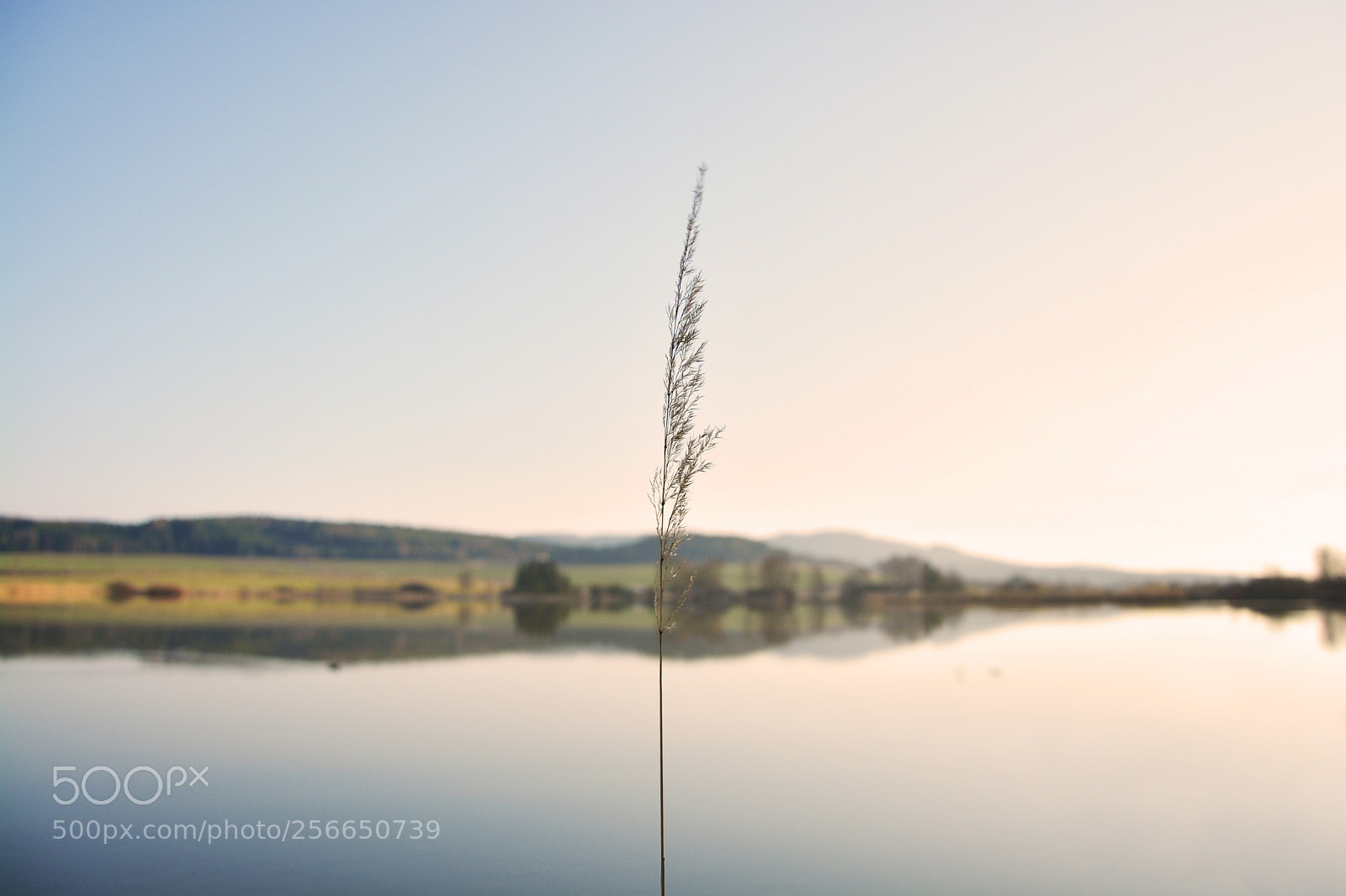 Nikon D5200 sample photo. Water sunset photography