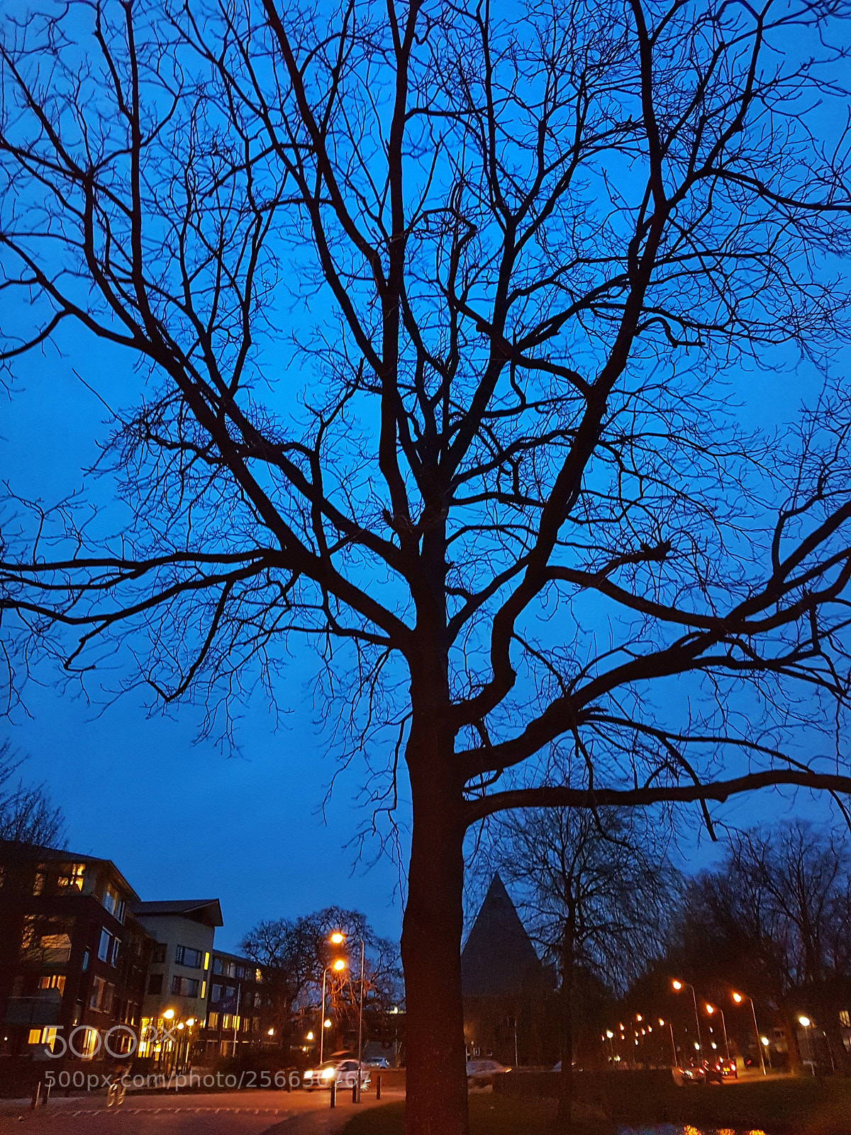 Samsung Galaxy S7 Edge sample photo. Untitled photography