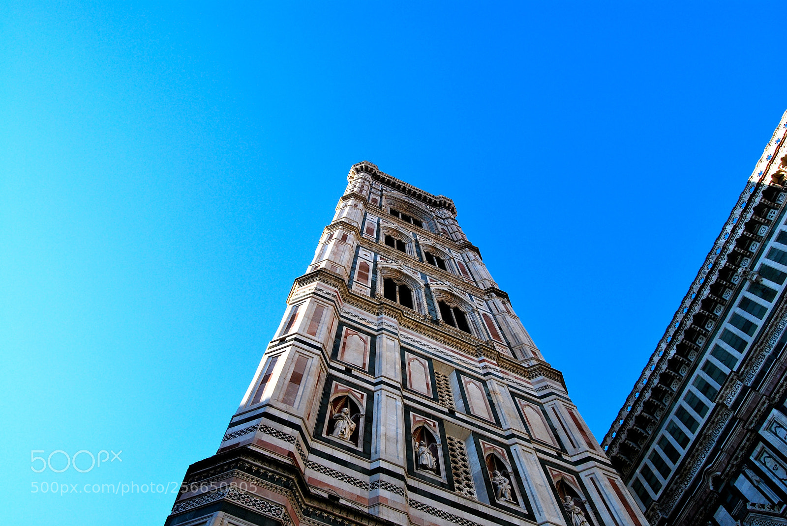 Nikon D60 sample photo. Florence photography