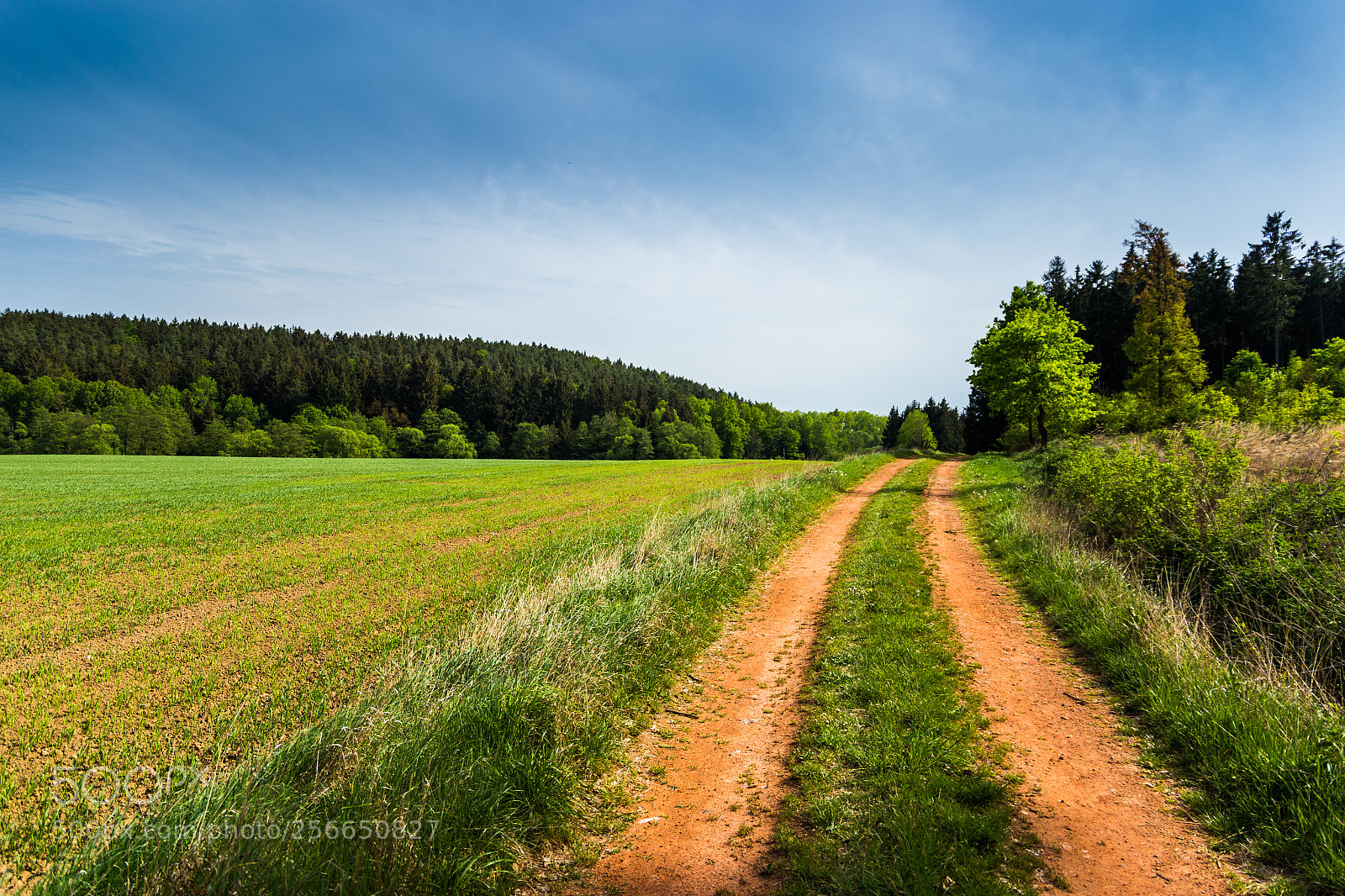 Canon EOS 6D sample photo. Countryside road in summer photography