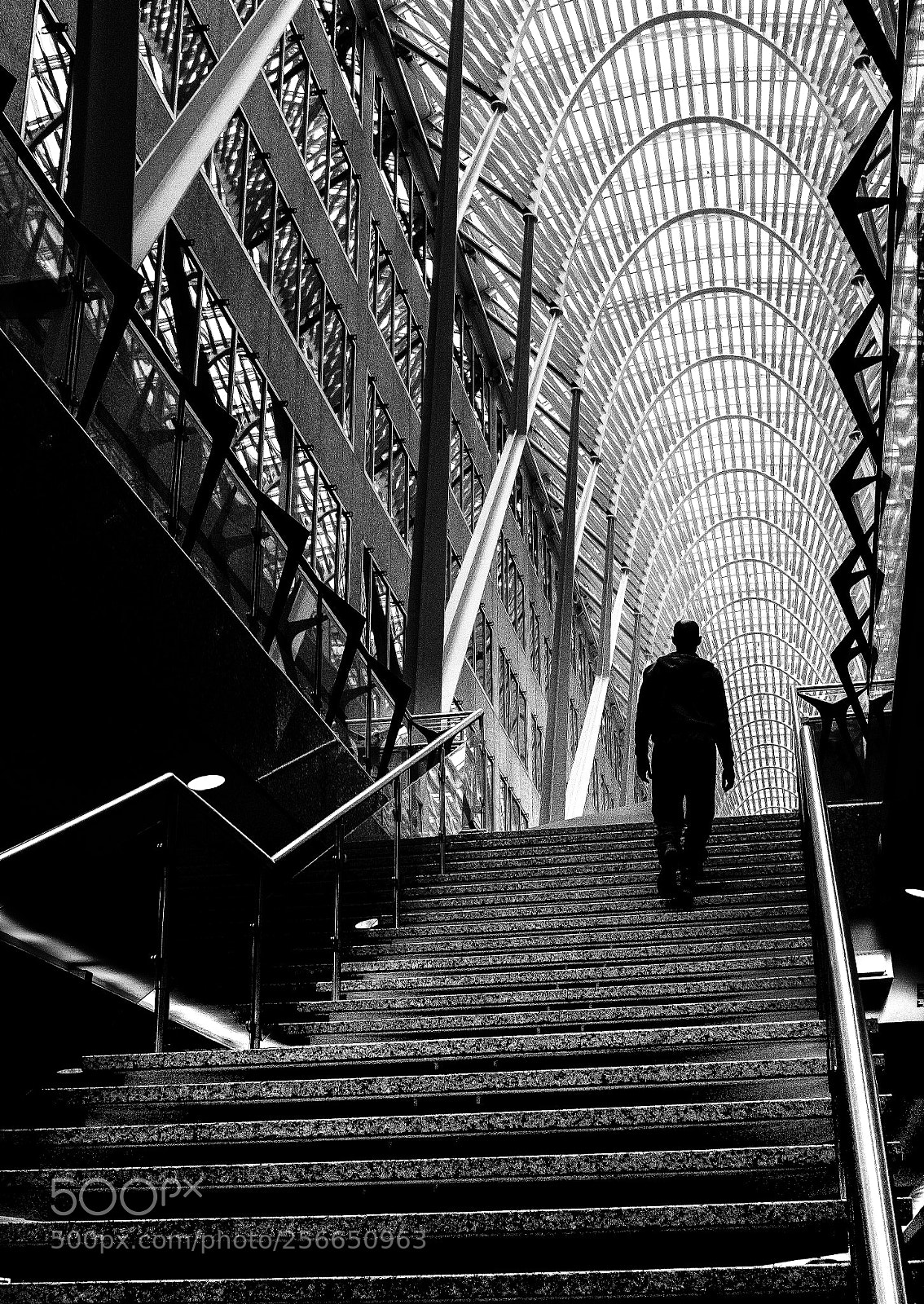 Fujifilm X100F sample photo. Into the light photography